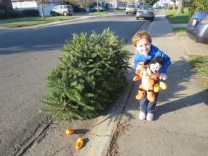 The Glorious Family Christmas tree lays in the street for pickup. 